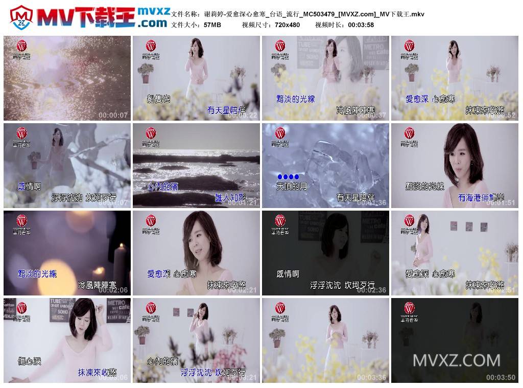 谢莉婷-爱愈深心愈寒_台语_流行_MC503479